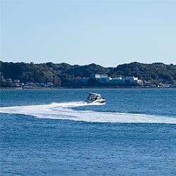 貸切確約チャータークルーズ